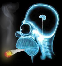 Homer Simpson X-Ray