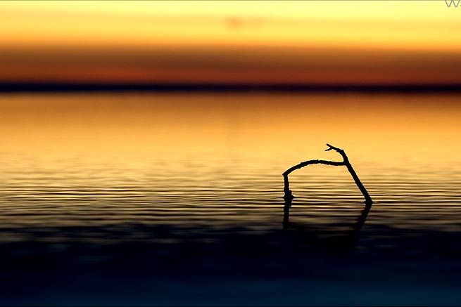 scenefromthelens Derek Swiderski